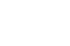Radigin